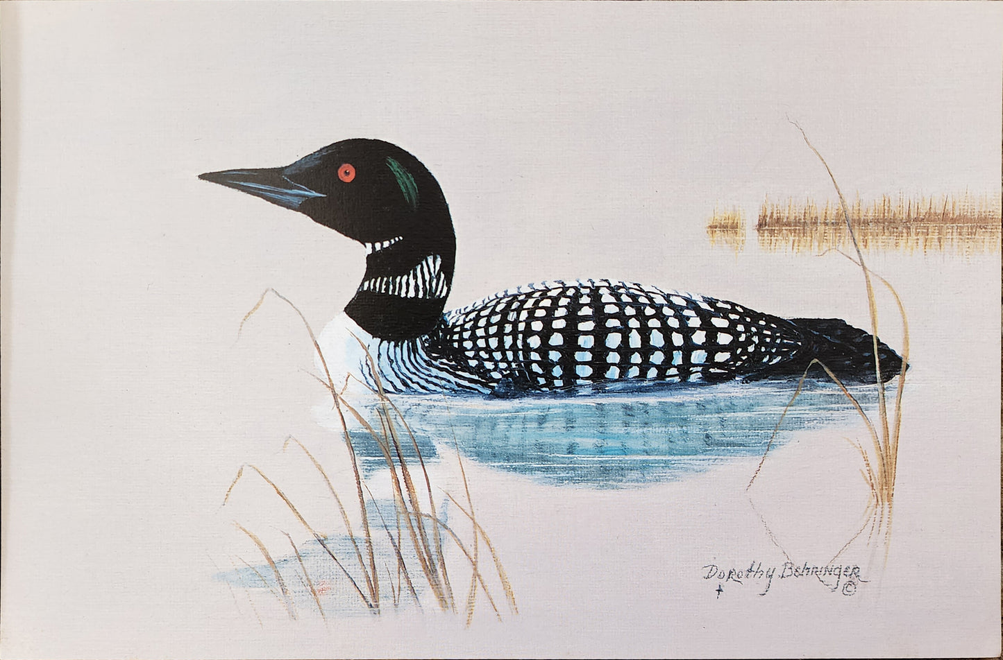 Original Fine Art Prints By Dorothy Behringer - Birds set