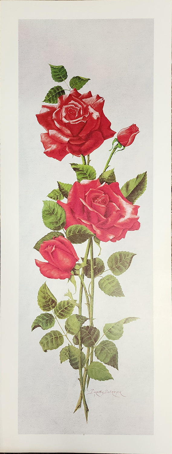 Original Fine Art Prints By Dorothy Behringer - Flowers Set