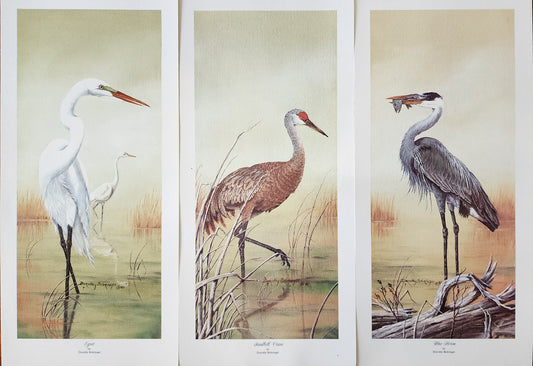 Original Fine Art Prints By Dorothy Behringer - Tall Set