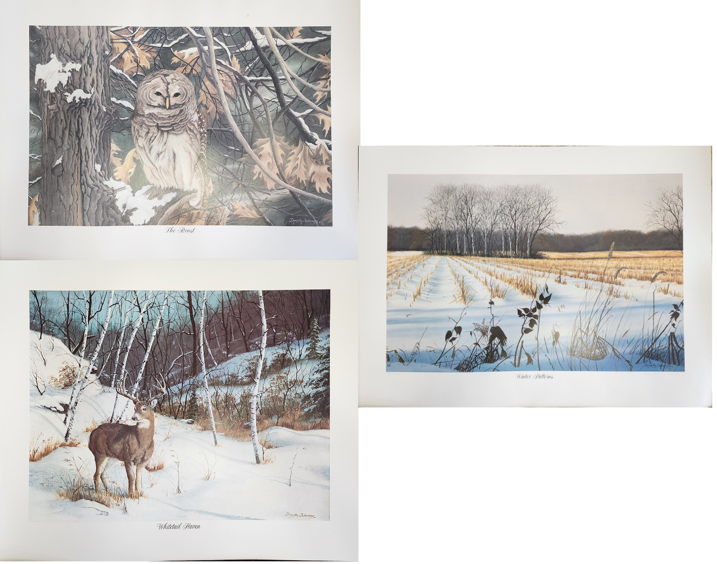 Original Fine Art Prints By Dorothy Behringer - Large Set