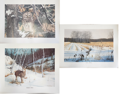 Original Fine Art Prints By Dorothy Behringer - Large Set