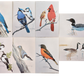 Original Fine Art Prints By Dorothy Behringer - Birds set