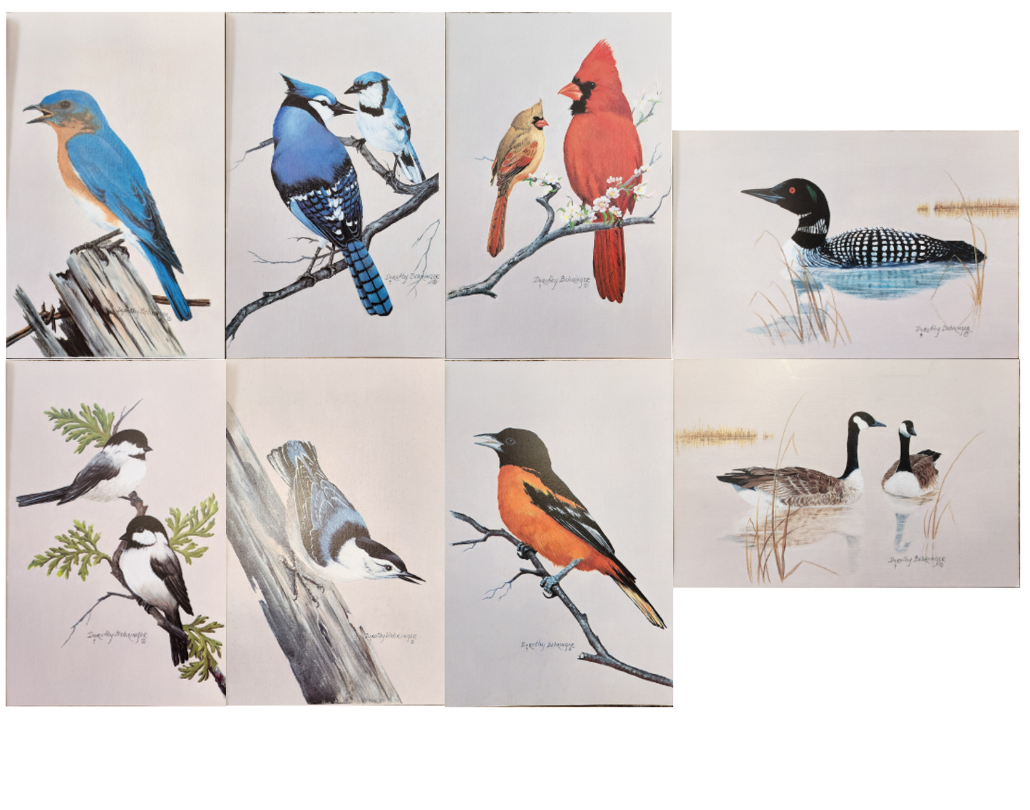 Original Fine Art Prints By Dorothy Behringer - Birds set