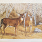 Original Fine Art Prints By Dorothy Behringer - Medium Set