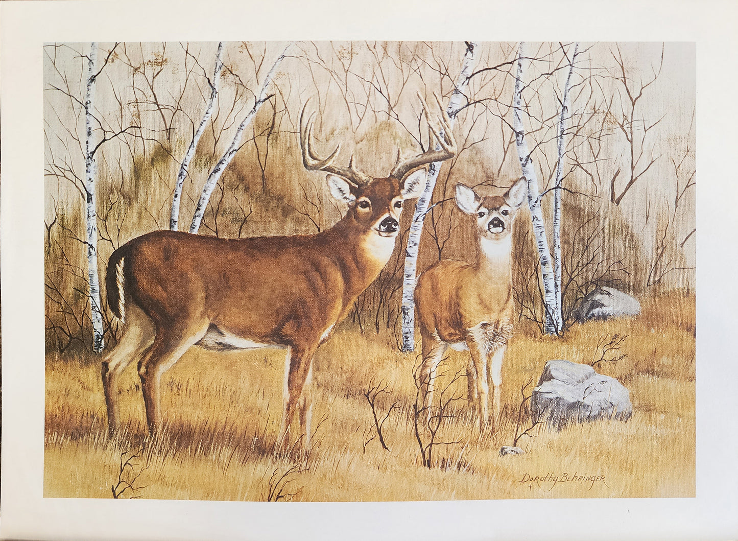 Original Fine Art Prints By Dorothy Behringer - Medium Set