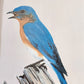 Original Fine Art Prints By Dorothy Behringer - Birds set