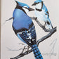 Original Fine Art Prints By Dorothy Behringer - Birds set