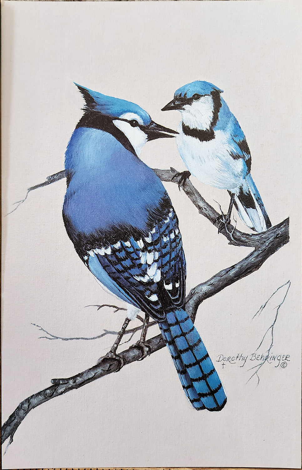 Original Fine Art Prints By Dorothy Behringer - Birds set