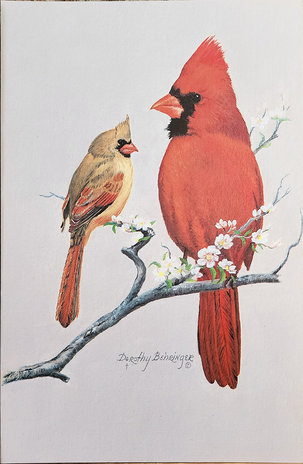 Original Fine Art Prints By Dorothy Behringer - Birds set