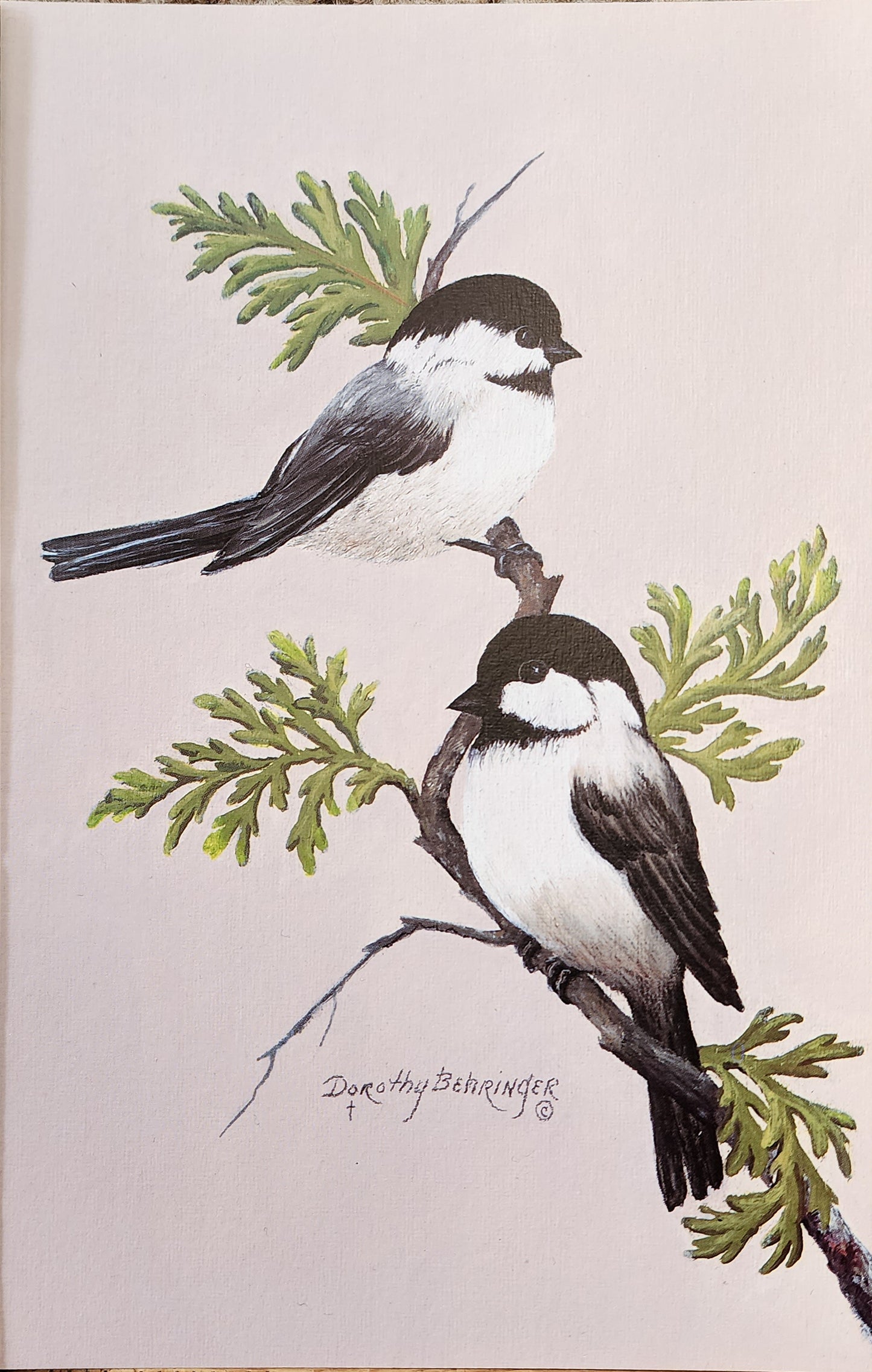 Original Fine Art Prints By Dorothy Behringer - Birds set