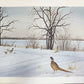 Original Fine Art Prints By Dorothy Behringer - Medium Set