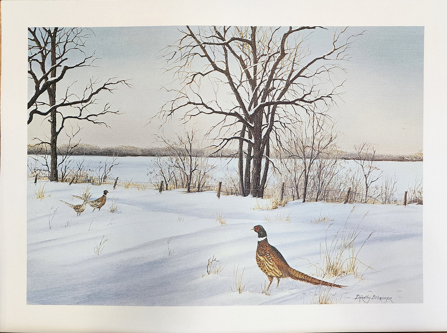 Original Fine Art Prints By Dorothy Behringer - Medium Set