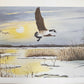 Original Fine Art Prints By Dorothy Behringer - Medium Set