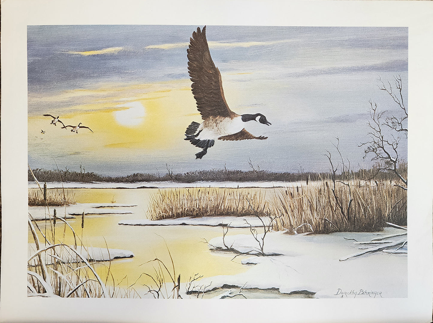 Original Fine Art Prints By Dorothy Behringer - Medium Set