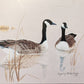 Original Fine Art Prints By Dorothy Behringer - Birds set