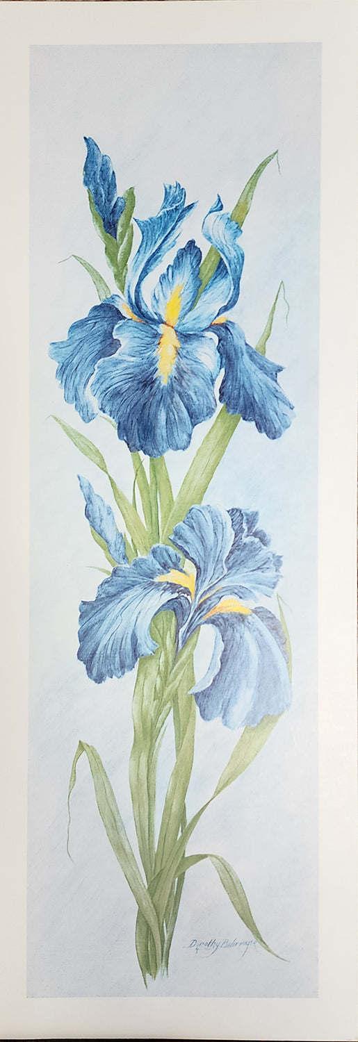 Original Fine Art Prints By Dorothy Behringer - Flowers Set