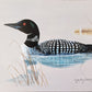 Original Fine Art Prints By Dorothy Behringer - Birds set