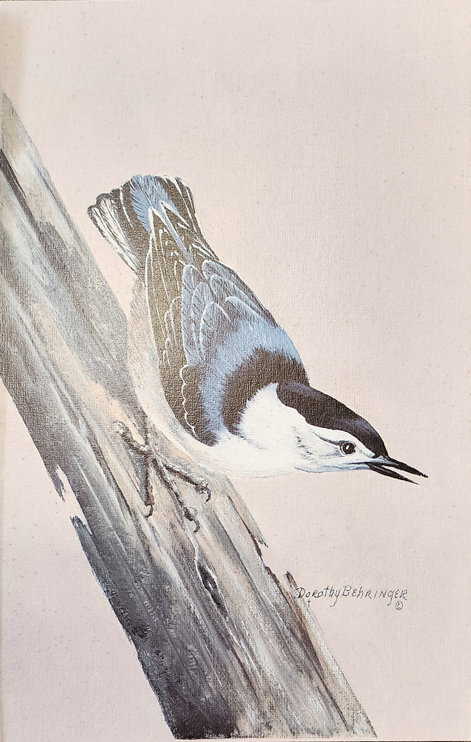 Original Fine Art Prints By Dorothy Behringer - Birds set