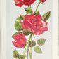Original Fine Art Prints By Dorothy Behringer - Flowers Set