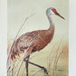 Original Fine Art Prints By Dorothy Behringer - Tall Set