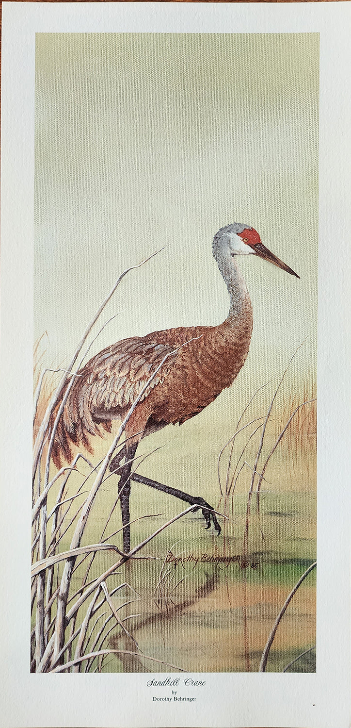 Original Fine Art Prints By Dorothy Behringer - Tall Set