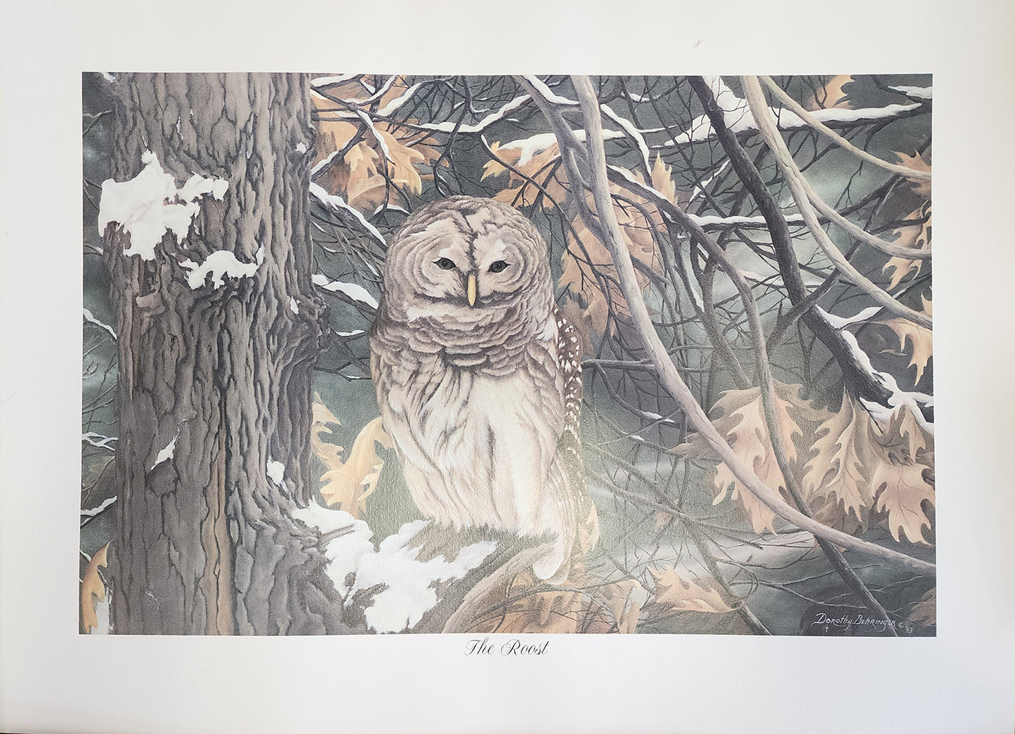 Original Fine Art Prints By Dorothy Behringer - Large Set