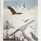 Original Fine Art Prints By Dorothy Behringer - Medium Set