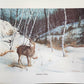 Original Fine Art Prints By Dorothy Behringer - Large Set