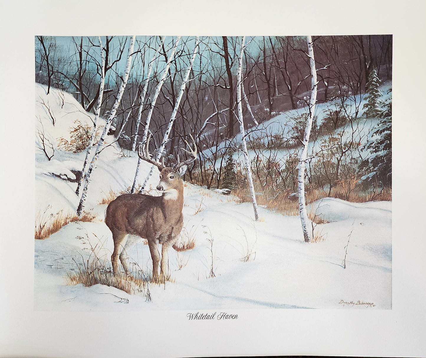 Original Fine Art Prints By Dorothy Behringer - Large Set