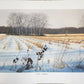 Original Fine Art Prints By Dorothy Behringer - Large Set