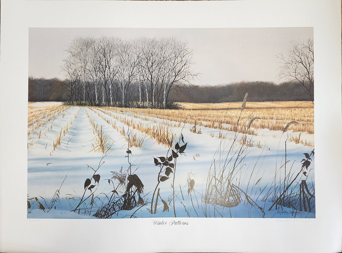 Original Fine Art Prints By Dorothy Behringer - Large Set